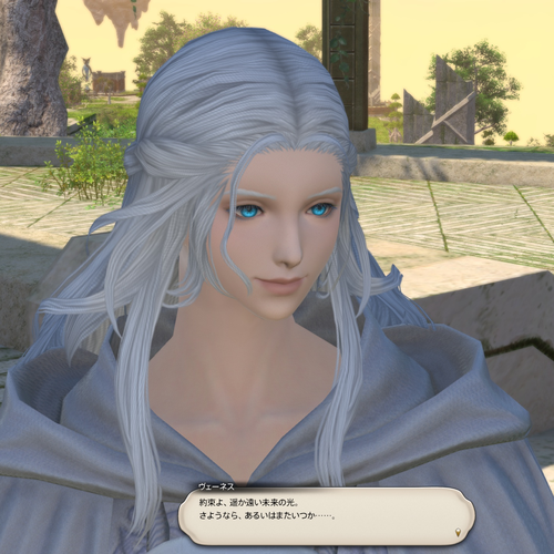 NPC・組織/ヴェーネス - FF14 Online Wiki